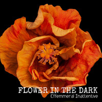 Flower in the Dark