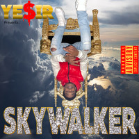 SkyWalker Freestyle