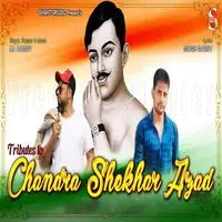 Tributes To Chandra Shekhar Azad