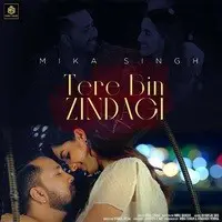 Tere Bin Zindagi