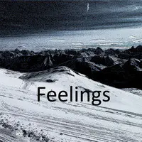 Feelings