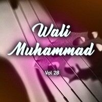 Wali Muhammad, Vol. 28