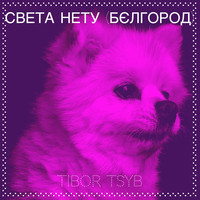 Света нету (бєлгород)