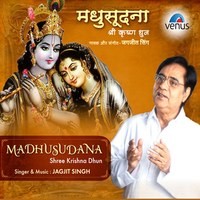 Madhusudana Shree Krishna Dhun