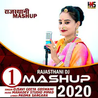 Rajasthani Dj Mashup 2020 Vol 1