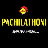 Pachilathoni