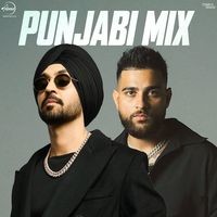 Punjabi Mix