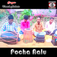 Pocha Aalu