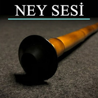 Ney Sesi