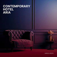 Contemporary Hotel Aria