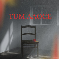 Tum Aaoge