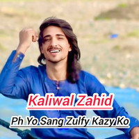 Ph Yo Sang Zulfy Kazy Ko