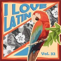 I Love Latin, Vol. 32