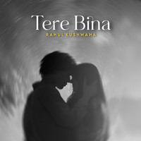 Tere Bina