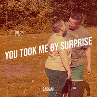 You Took Me by Surprise