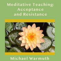 Meditative Teaching: Acceptance and Resistance