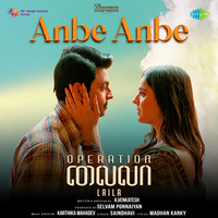 Anbe Anbe (From "Operation Laila")