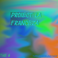 Proiect La Franceza