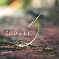 Seed of Life