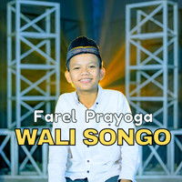 Wali Songo