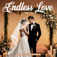 Endless Love, Vol. 3 (Romantic Instrumentals)