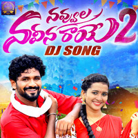 Navvula Naveena Raaye (Dj Song Part 2)