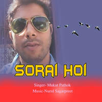 Sorai Hoi