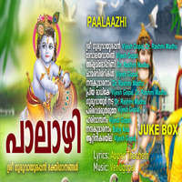 Paalaazhi Krishna Geethikal