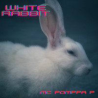 White Rabbit