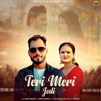 Teri Meri Jodi