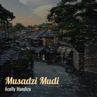 Musadzi Mudi