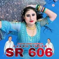 Fakru Singer SR 606