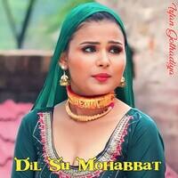 Dil Su Mohabbat