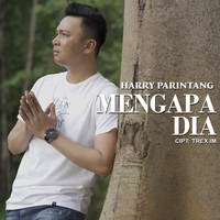 Harry Parintang - Mengapa Dia