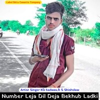 Number Leja Dil Deja Bekhub Ladki B S Shisholaw