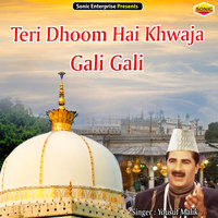 Teri Dhoom Hai Khwaja Gali Gali