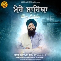 Mere Sahiba (Bhai Gaganpreet Singh Ji Ludhiana Wale)