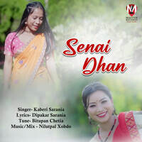 Senai Dhan