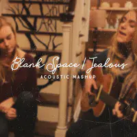 Blank Space / Jealous (Acoustic Mashup)