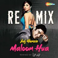 Aaj Hamein Maloom Hua Remix