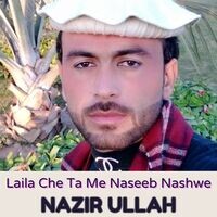 Laila Che Ta Me Naseeb Nashwe