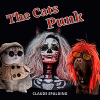 The Cats Punk