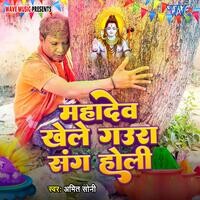 Mahadev Khele Gaura Sang Holi