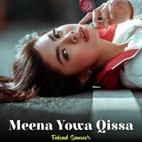 Meena Yowa Qissa