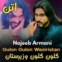 Gulon Gulon Wazirstan Attan