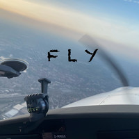 Fly