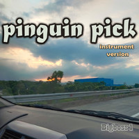 Pinguin Pick (Instrument Version)