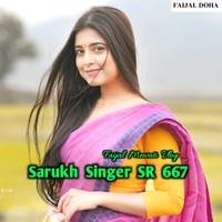 Sharuk Singer SR 667