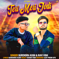 Teri Meri Jodi