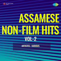 Assamese Non-Film Hits Vol-2